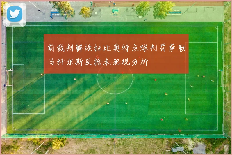 前裁判解读拉比奥特点球判罚萨勒马科尔斯反抢未犯规分析